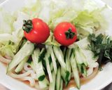 夏にサッパリサラダうどん作り方3写真
