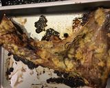 マグロのカマ 塩レモンとローズマリー焼き作り方4写真