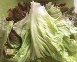 朝食メニューを一気に採れるわんぱくサンド作り方1写真
