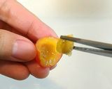 子供用♪さくらんぼ種の取り方作り方5写真