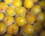 あら簡単、梅の発泡酒煮作り方6写真