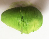 アボカドをお花みたいに♪切って丸める方法作り方9写真