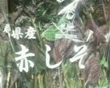 ♪野菜♪赤紫蘇ジュース作り方1写真