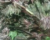 ♪野菜♪赤紫蘇ジュース作り方2写真