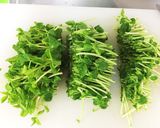豆苗と豚肉のピリ辛オイスター炒め作り方1写真