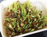 豆苗と豚肉のピリ辛オイスター炒め作り方2写真