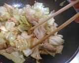 豚とキャベツのカレー炒め作り方3写真