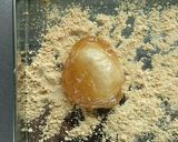 麦茶で作る☆ふわとろ生くりいむわらび餅。作り方11写真