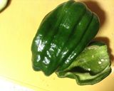 ピーマンの餃子&納豆つめ作り方1写真