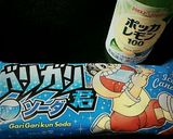 ガリガリ☆フローズン作り方1写真