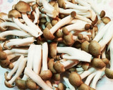 白だしで簡単！かぼちゃとさつまあげの煮物作り方3写真