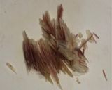 作り置き♪なすと茗荷のさっぱり醤油漬け作り方2写真