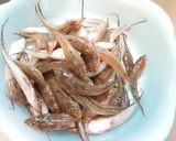 愛知の魚100選 ネズミゴチの一夜干し作り方1写真