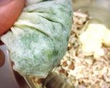 なまり節とキムチチーズの高野豆腐サンド作り方12写真