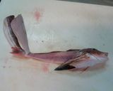 愛知の魚100選 ホウボウの天ぷら作り方7写真