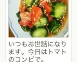 娘もハマったキュウリ作り方4写真