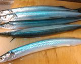 簡単、らっきょ醤油漬けの流用焼サヨリ+α作り方3写真