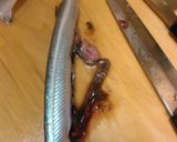 簡単、らっきょ醤油漬けの流用焼サヨリ+α作り方5写真