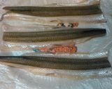簡単、らっきょ醤油漬けの流用焼サヨリ+α作り方10写真