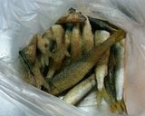 子鮎の唐揚げ作り方1写真