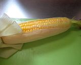 最速のレンジで蒸しトウモロコシ作り方7写真