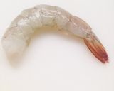 簡単綺麗♪エビの背わた、腹わた下処理方法作り方10写真
