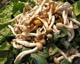 ターサイと鶏胸肉の中華炒め作り方6写真