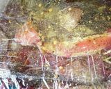 加熱用マグロのグラタン作り方1写真