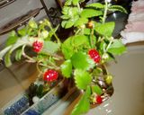 sweet potato作り方6写真