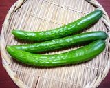 きゅうりの短期保存作り方1写真