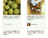 母直伝！お湯をかける 梅干しの作り方作り方34写真