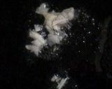 もうか鮫のアクアパッツァ作り方2写真