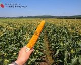 十勝とうきびポップコーン作り方1写真
