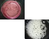 カシスのダコワーズ作り方8写真
