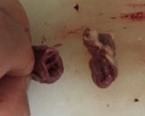 やわらか鶏 レバニラ炒め 臭みなし！作り方4写真
