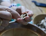 鬼くるみのくるみ味噌☆作り方3写真
