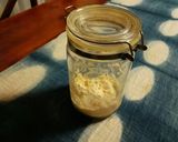 レーズン酵母の液種、元種のおこし方作り方4写真
