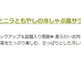 豚とニラともやしの冷しゃぶ風サラダ作り方10写真