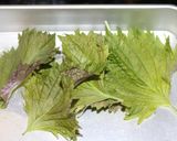 10分浅漬け作り方4写真