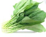 微粉砕機で野菜ペースト（小松菜）作り作り方1写真