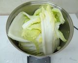 微粉砕機で野菜ペースト（白菜）作り作り方2写真