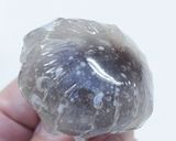 レンジでお手軽！葛まんじゅう作り方13写真