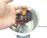 微粉砕機でタコパウダーの作り方作り方4写真