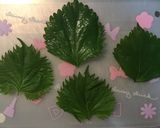 餃子の王将☆生餃子で手軽に 大葉巻き作り方1写真