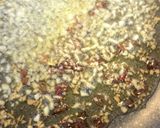 ペペロンチーノきのこのパリパリキャベツ作り方4写真