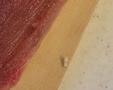 今が旬！カツヲのタタキを自宅で！作り方2写真