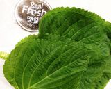 韓国家庭料理 エゴマの葉キムチ作り方1写真
