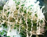 さっぱりうなぎ丼作り方6写真
