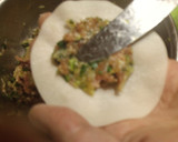 うちの餃子(#^^#)　家族用作り方3写真