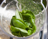 ベランダ菜園で食べ放題 バジルソース作り方4写真